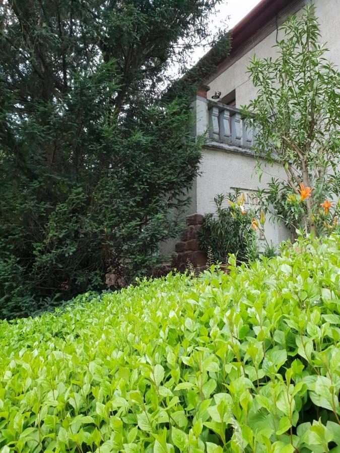 Kasza Villa 블로톤퓌레드 외부 사진
