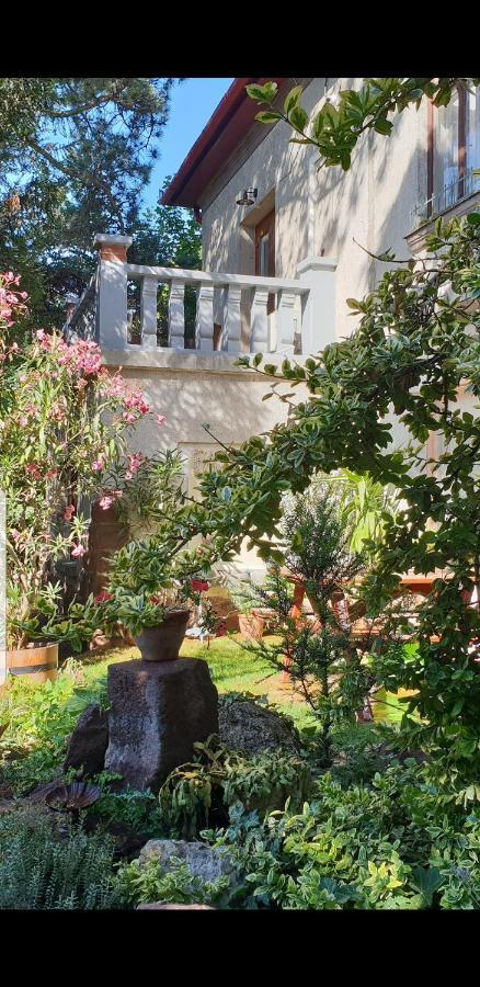 Kasza Villa 블로톤퓌레드 외부 사진