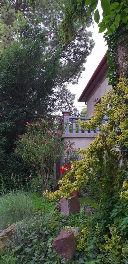Kasza Villa 블로톤퓌레드 외부 사진